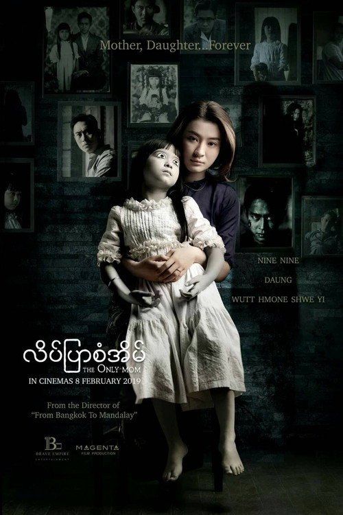 The Only Mom poster