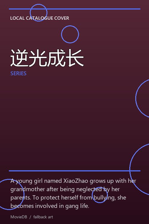 逆光成长 poster