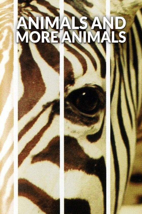 Animals poster