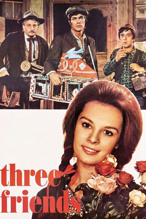Üç Arkadaş poster