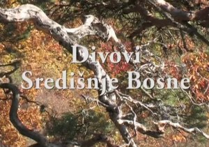 Divovi Središnje Bosne poster