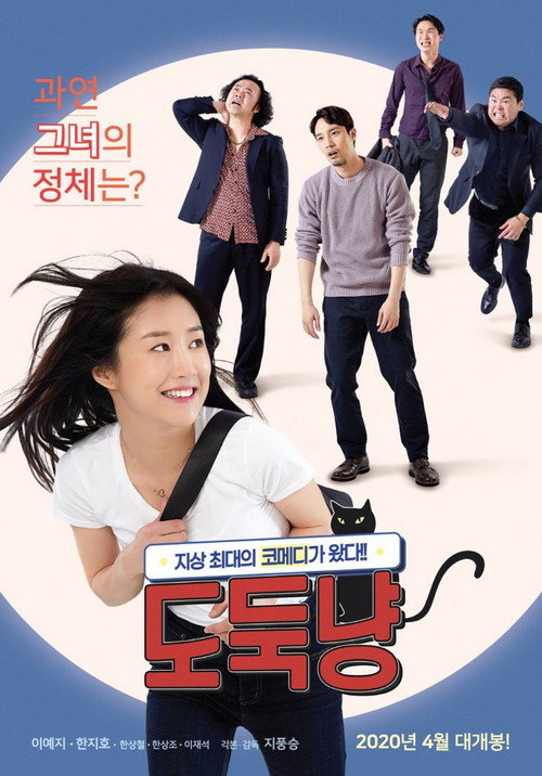 A Stray Cat poster