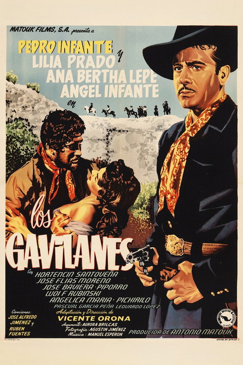 Los gavilanes poster