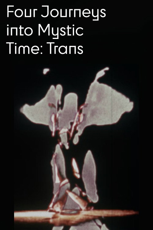 Trans poster