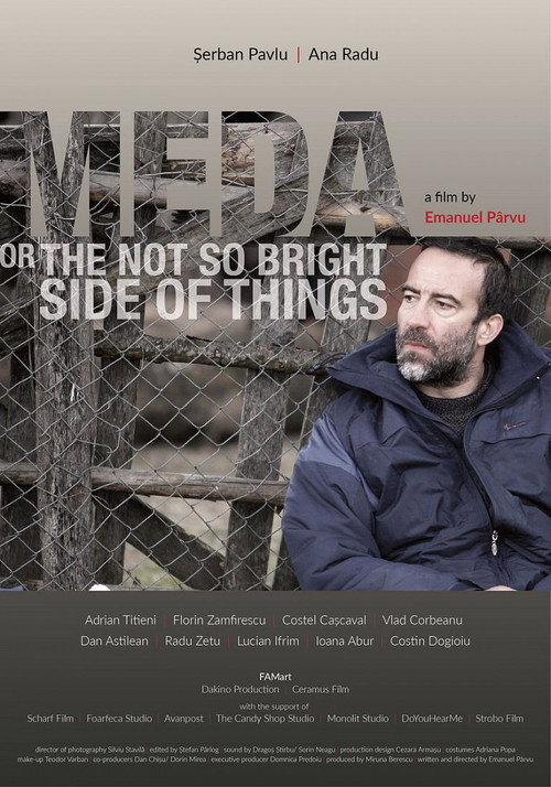 Meda or the Not So Bright Side of Things poster