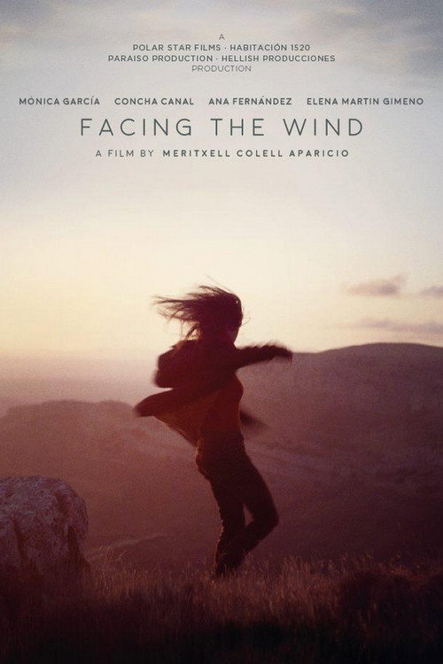 Facing the Wind (Con el Viento) poster