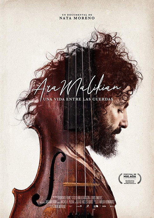 Ara Malikian. A Life Among Strings poster