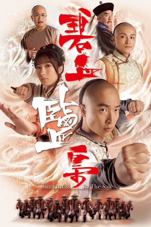 Sweetness in the Salt poster