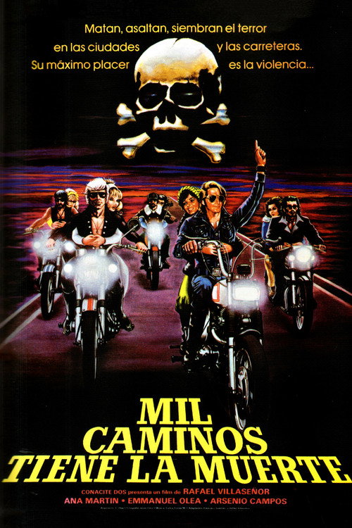 Mad Angels poster