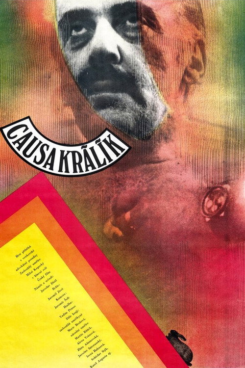 The Rabbit Case poster