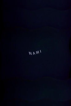 Nami poster