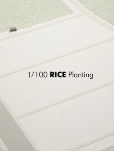 1/100 Rice Planting poster