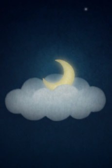 The Moon That Fell into the Sea poster