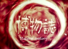 Natural History poster