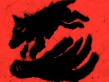 Animal Dance poster