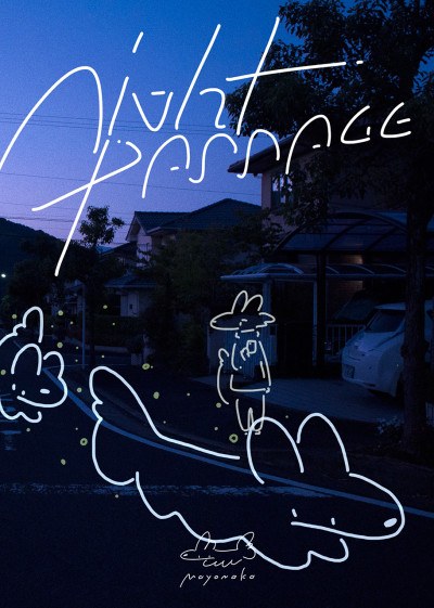 night passage poster