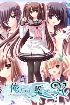 Oretachi ni Tsubasa wa Nai: Hadairo Ritsu Kyuuwari Zou!? poster