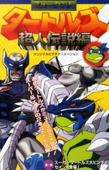 Mutant Turtles: Choujin Densetsu-hen poster