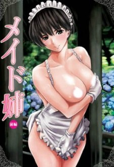 Maid for Pleasure poster