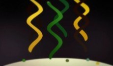 Animatope poster