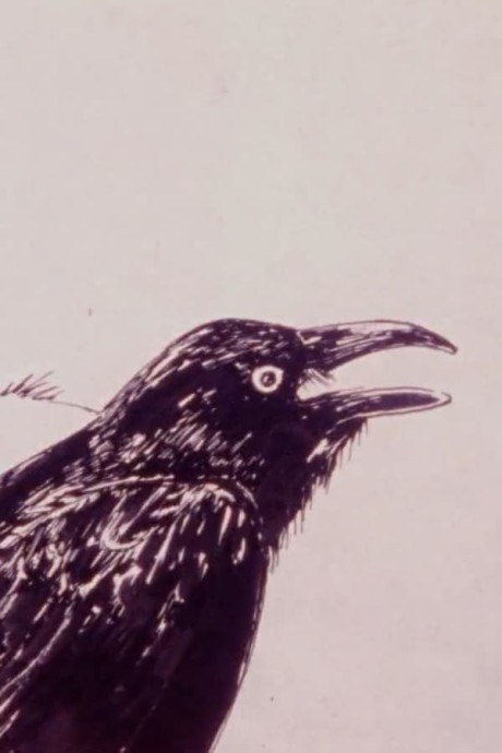 Karasu poster