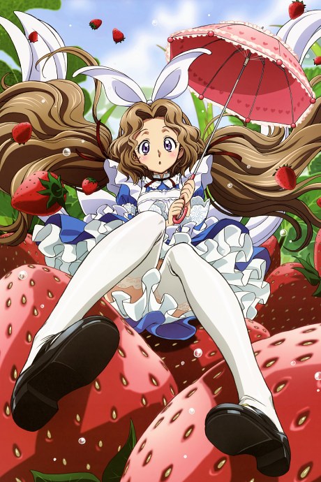 Code Geass: Nunnally in Wonderland poster