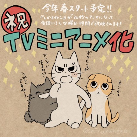 Shikaruneko poster