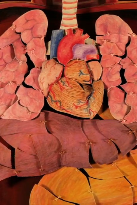 Internal Organs University poster