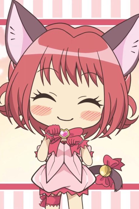 Petit! Tokyo Mew Mew New~♡ poster