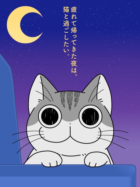 Nights with a Cat Season 2 poster
