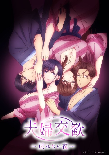 Married Couple Swap poster