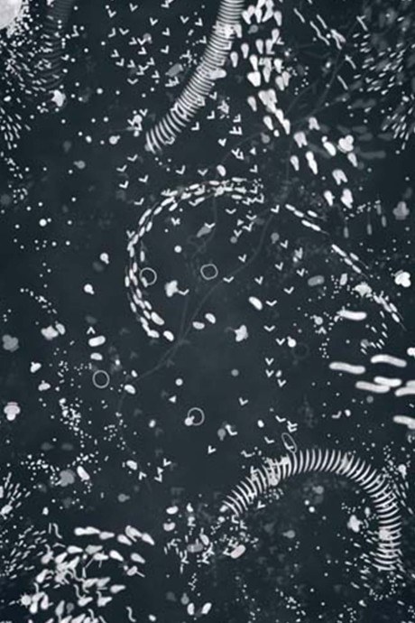 A4 Microcosm poster