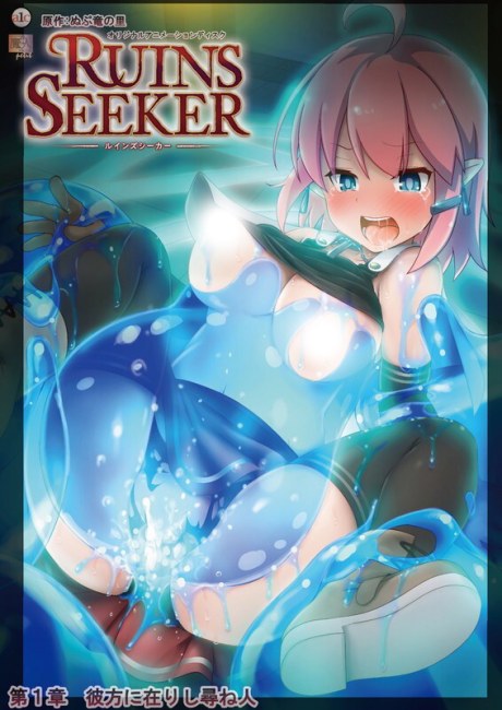 Ruins Seeker poster