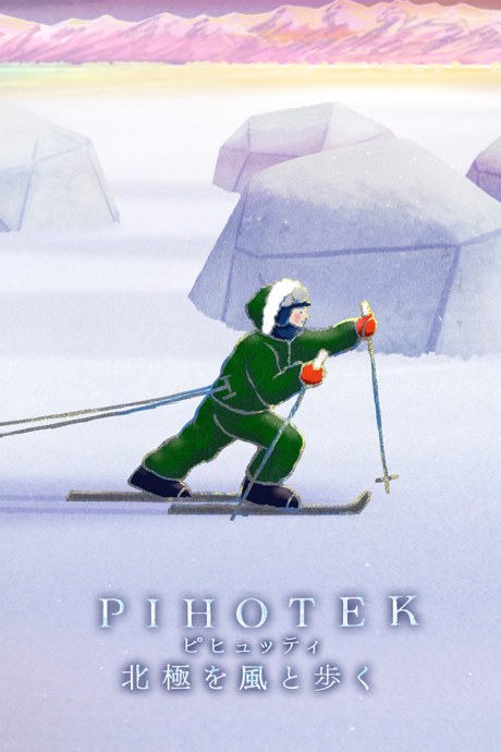 PIHOTEK poster