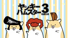 Yankee Hamster Season 3 poster
