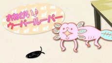 Oh! Wooper Looper poster