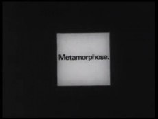 Metamorphose. poster