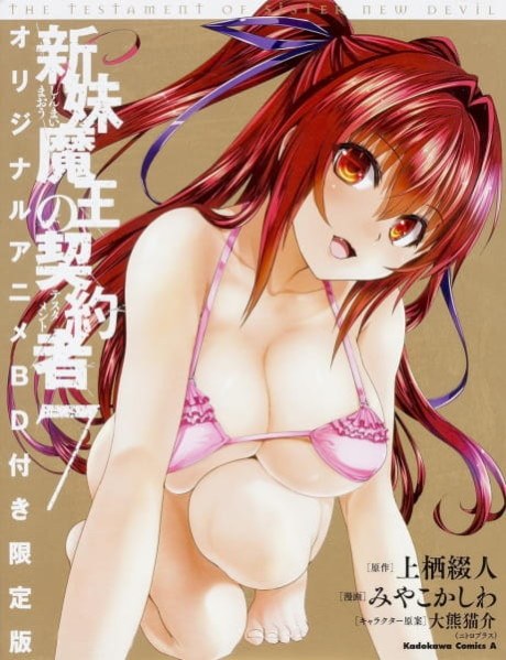 The Testament of Sister New Devil BURST: Tojo Basara’s Perfectly Peaceful Daily Life poster