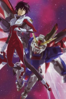 Mobile Suit Gundam Seed Destiny Special Edition poster