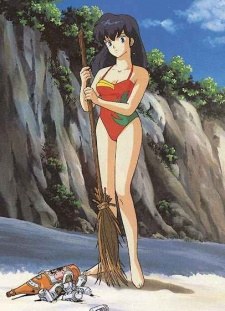 Maison Ikkoku: Deserted Island poster