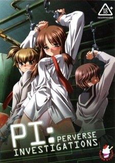 Perverse Investigations poster
