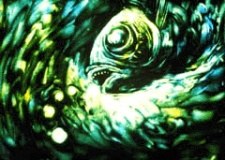 Suisei poster