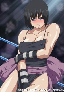 FIGHTING OF ECSTACY poster