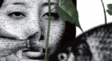 Nisou no Kuzu poster