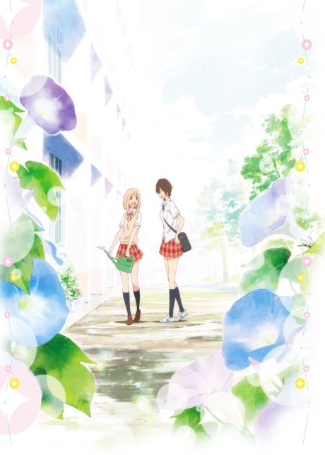 Your Light: Kase-san and Morning Glories poster