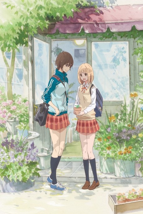 Kase-san and Morning Glories poster