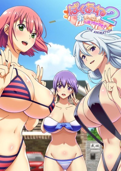 Baku Ane 2: Otouto Ippai Shibocchau zo! THE ANIMATION poster
