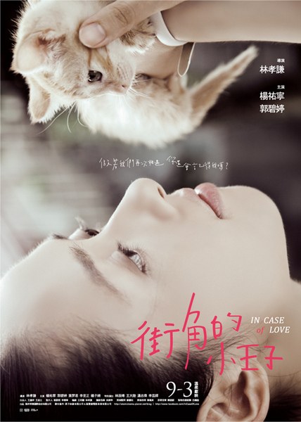 In Case of Love poster