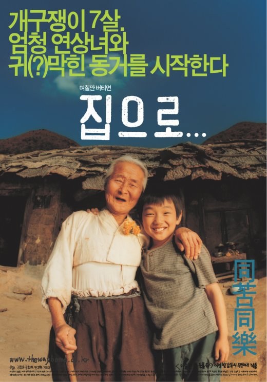 The Way Home poster