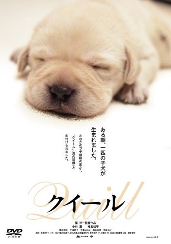 Quill poster